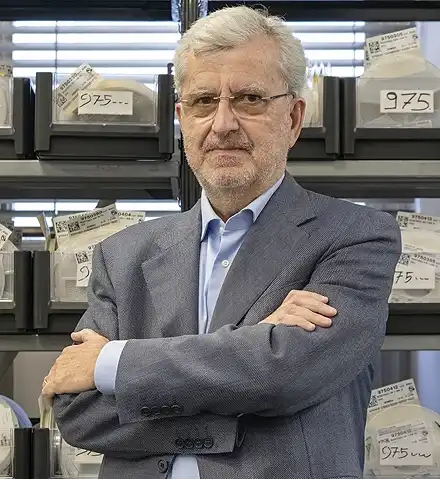 Maurizio Scaravelli